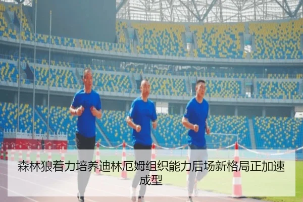 森林狼着力培养迪林厄姆组织能力后场新格局正加速成型